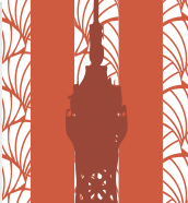 STRIPE PANAME BRIGHT ORANGE