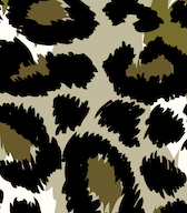 STRIPE WILD MILITARY KAKI